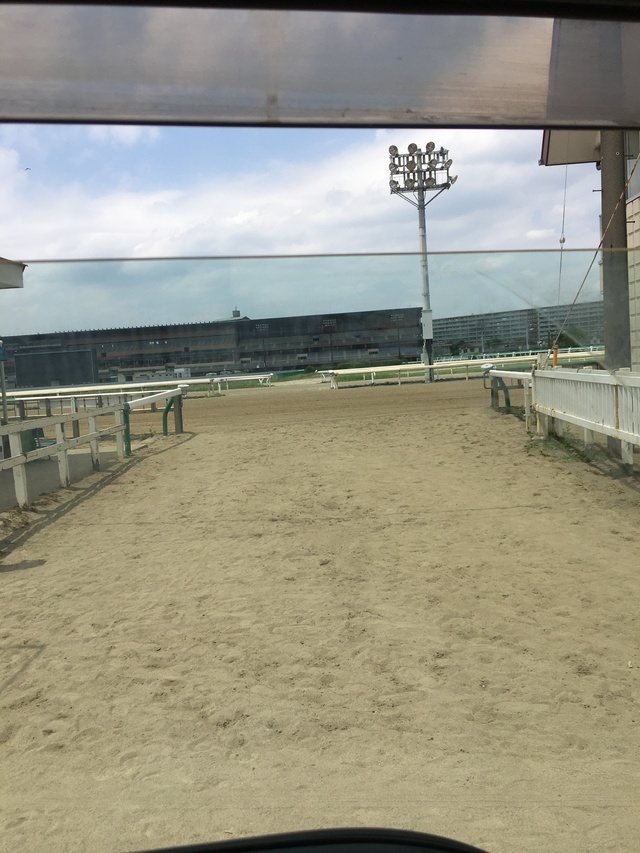 マットレス処分のご依頼《船橋競馬場から》