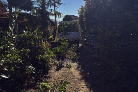 庭の手入れ管理は春は草刈りの準備、夏は害虫対策、冬は落葉樹の剪定など手入れが必要です。