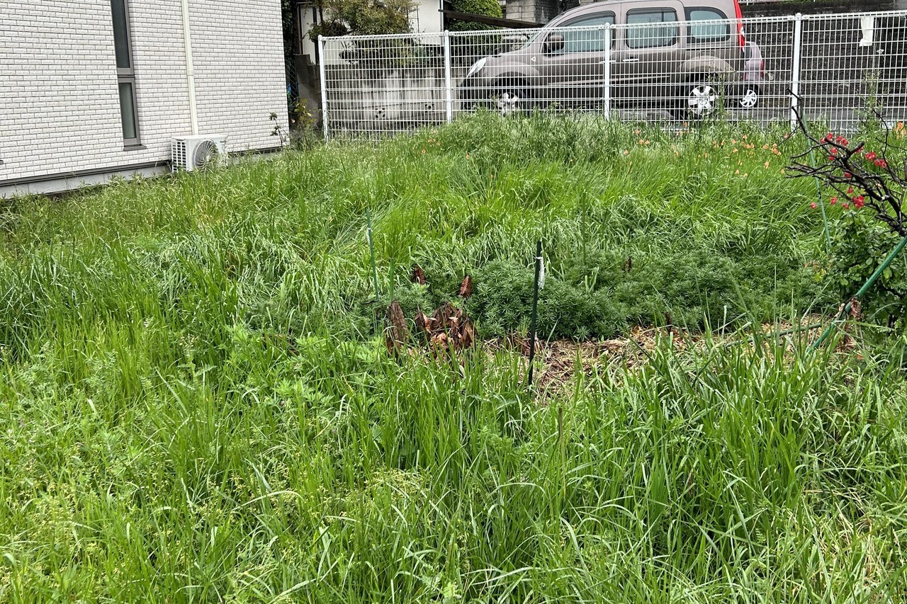 千葉県の草刈りなら毎年すぐ生えてくる雑草を庭をすっきりさせたい