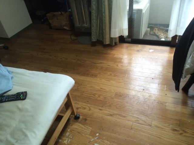 ごみ部屋｜片付け後の室内