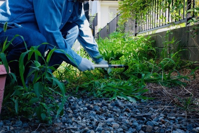 船橋市密着植木屋センター｜下請けなしの自社施工の庭師