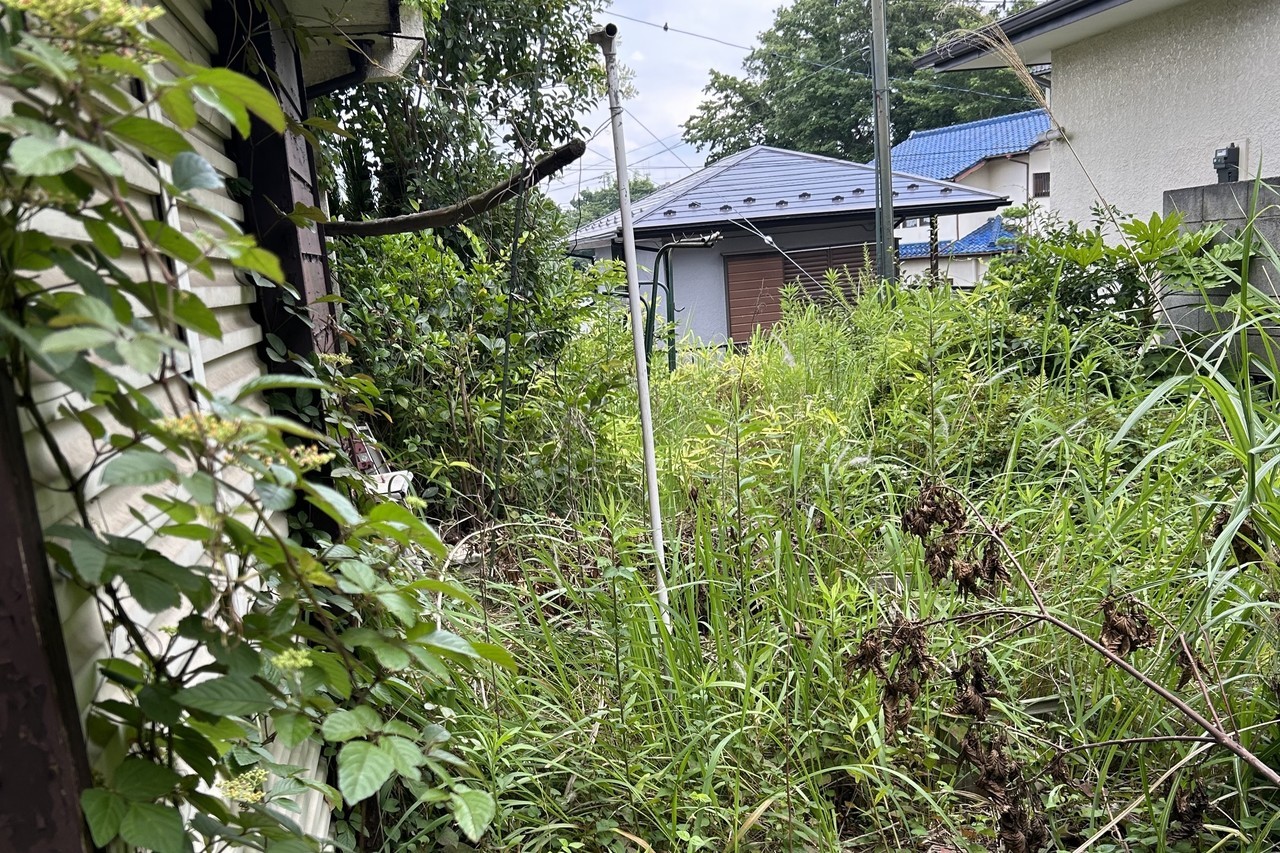 千葉の草木が生い茂る敷地内、放置して伸び放題