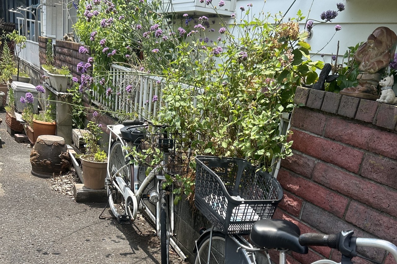 庭木がフェンスを越えはみ出してる