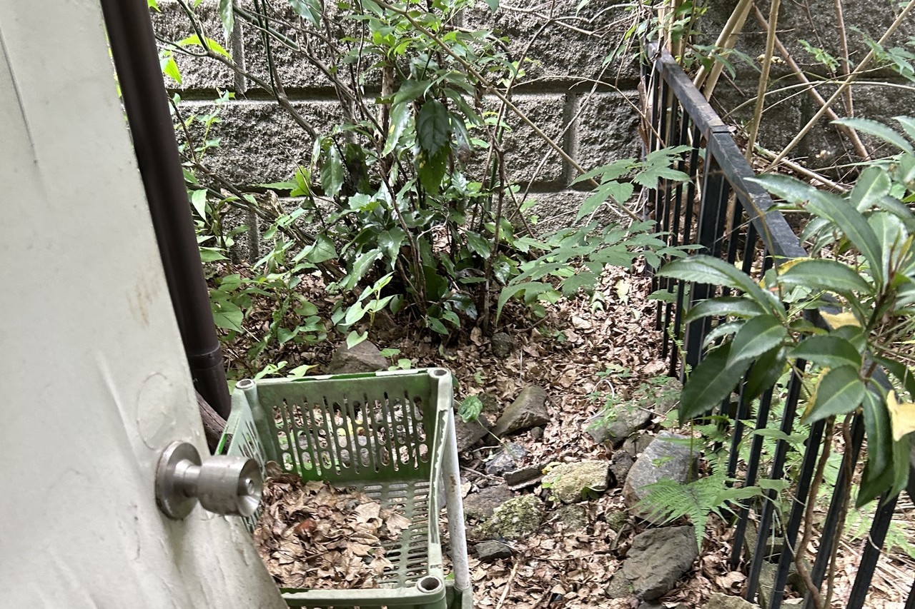 千葉の庭木の剪定なら株式会社A.K GROUP千葉県船橋市大神保町172-4