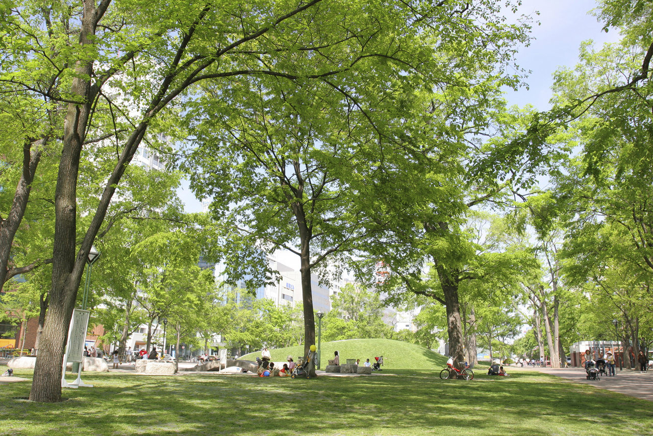 庭の手入れ伐採剪定草刈りセンター｜東京・千葉・埼玉・茨城
