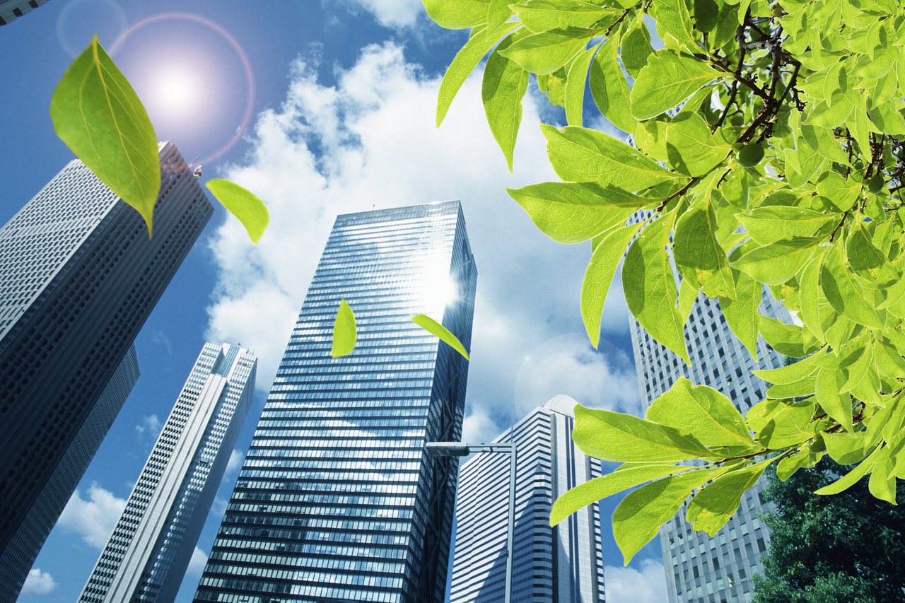 東千葉県｜庭の手入れ、庭木の伐採・剪定・草刈り・防草シート張り・砂利敷きページ